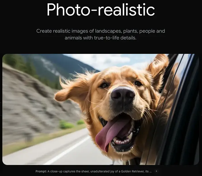 Imagen 3 Sample Image